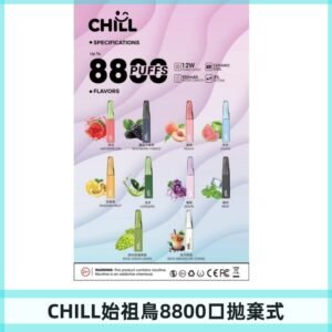 CHILL始祖鳥電子煙鴨嘴獸拋棄式8800口 一次性8ml大容量煙油