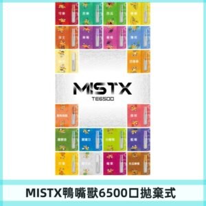 MIST X 鴨嘴獸6500口拋棄式電子煙#台灣現貨#