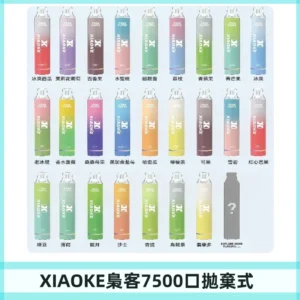 梟客XIAOKE|7500口可發光拋棄式電子煙 跑馬燈一次性